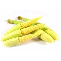 jagung muda
