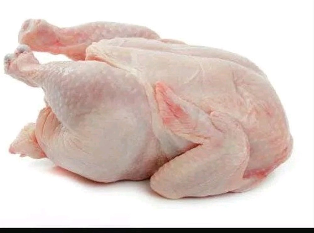 dagin ayam Broiler