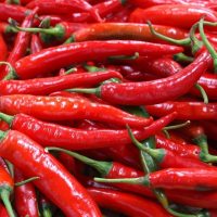 cabe merah besar