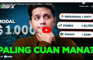 Seberapa Besar Potensi Cuan Forex Dalam 1 Tahun?