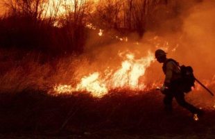 Usai Los Angeles Kini New York Kebakaran Hutan
